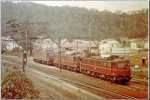 Gosford 46s.jpg